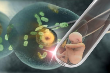 Explorando las Fronteras de la Reproducción Asistida: Inseminación Artificial y Transferencia de Embriones