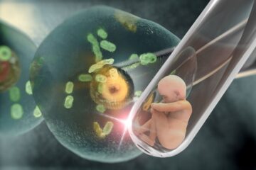 Explorando las Técnicas de Reproducción Asistida: De la Inseminación Artificial a la Transferencia de Embriones