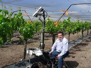 Innovaciones en técnicas de cultivo y vinificación: Cómo la tecnología está transformando la industria vinícola