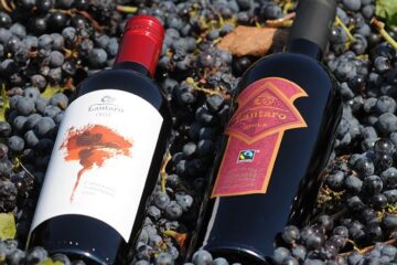 El Apasionante Auge de los Vinos Ecológicos y de Comercio Justo
