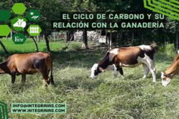 Treseus | Cómo la ganadería puede contribuir a la captación de carbono