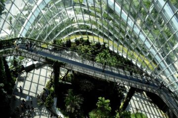 Nelson Rafael Bustamante Abidar - ¡Entérate! Arquitectura biofílica; Qué es ¡Características, ventajas y tendencias! - FOTO