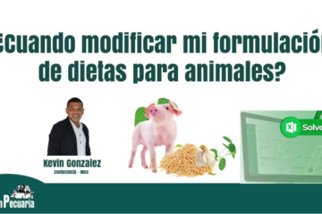 Treseus |Formulación de Dietas según la Clase de Animal y su Etapa Productiva