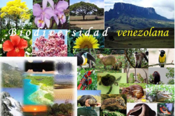 Hjalmar Jesús Gibelli Gómez | La Biodiversidad de Venezuela: Un Tesoro Natural en Peligro