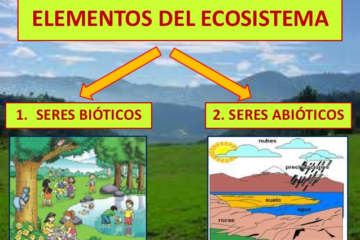 El Equilibrio Invisible: Explorando el Papel Crucial de los Factores Abióticos y Bióticos en la Ecología con Hjalmar Jesús Gibelli