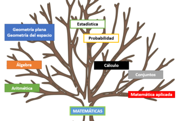 Oswaldo Karam Macia: Cuáles son las Ramas Más Importantes de las Matemáticas