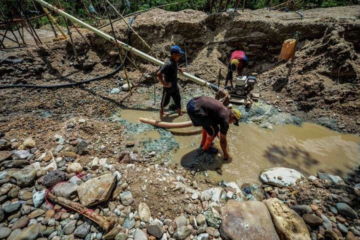 El Impacto de la Minería Ilegal en la Ecología Venezolana