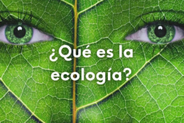 Cómo ha Evolucionado la Ecología en Venezuela desde los Años 60