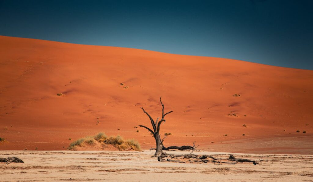 Qué es el latigazo climático