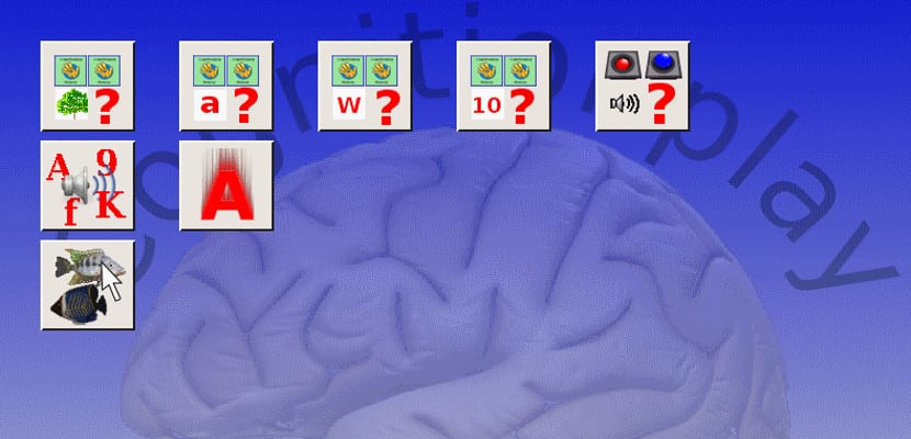 Cognition Play