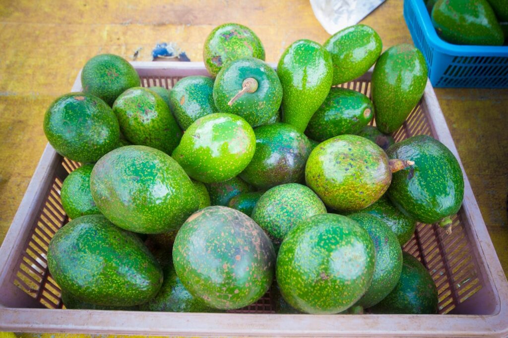 sustentabilidad en el aguacate