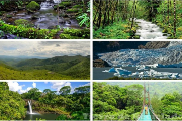 Ecosistemas de Venezuela: Diversidad y Biodiversidad por Hjalmar Jesús Gibelli Gómez