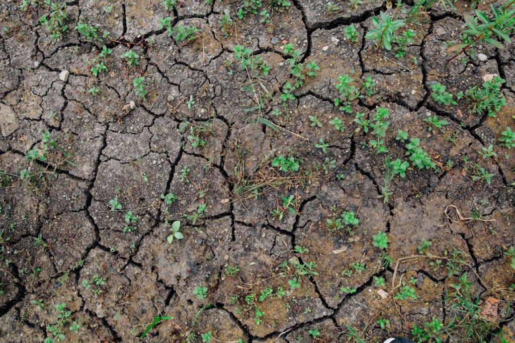 reutilizar el agua de lluvia