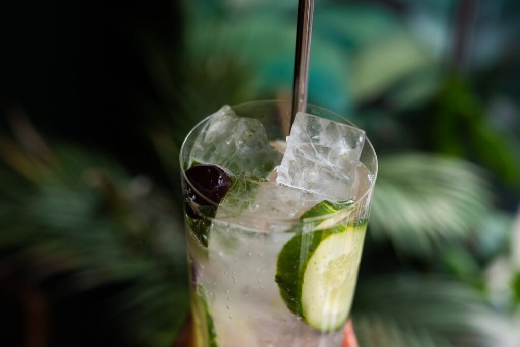 cambiar el sabor al Gin-Tonic
