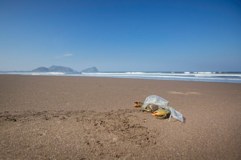 Impacto de prohibir bolsas de plástico