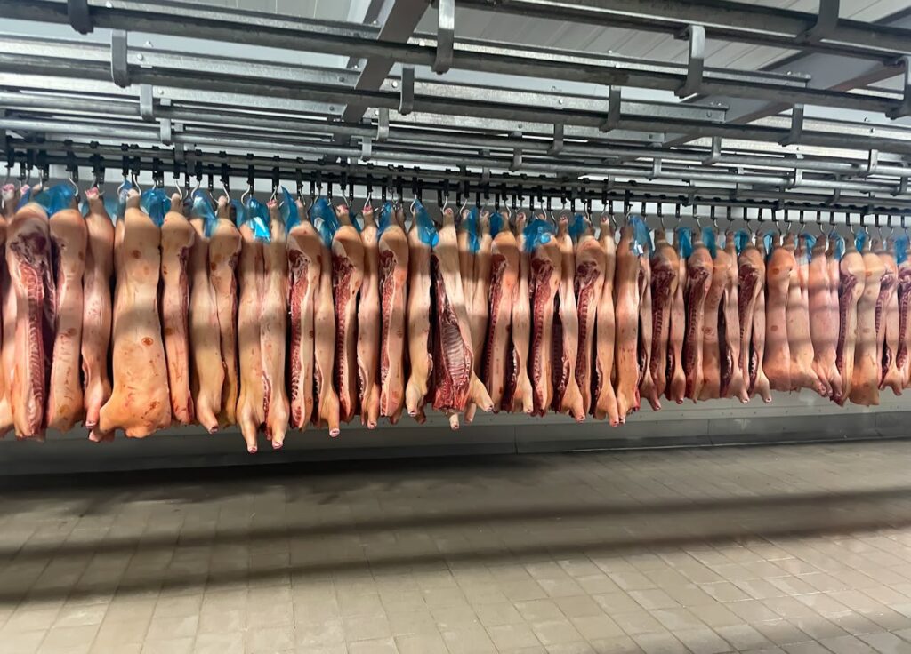 consumir menos carne