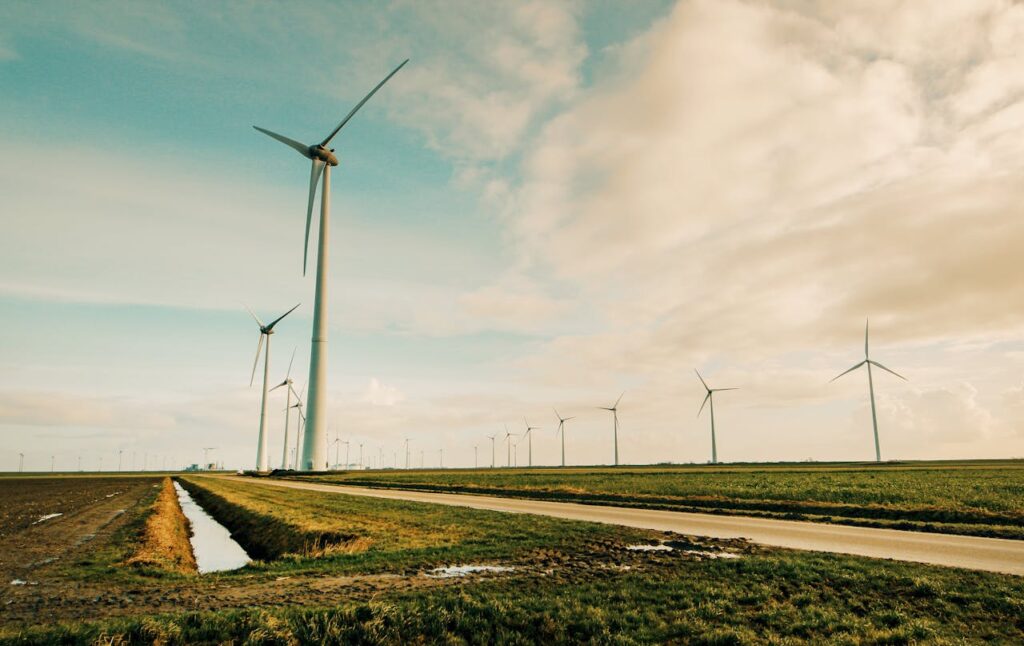 compensación real de los créditos de carbono
