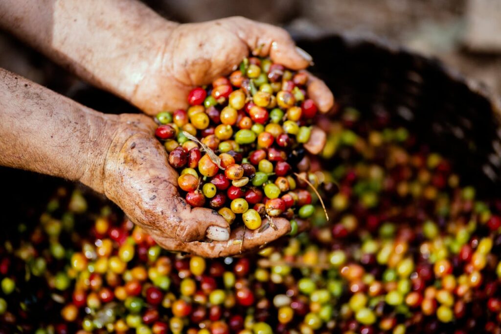 Informe Rainforest Alliance