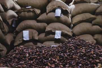 Ministra Coromoto Godoy - Venezuela exporta 50 toneladas de cacao en grano a Rusia - FOTO