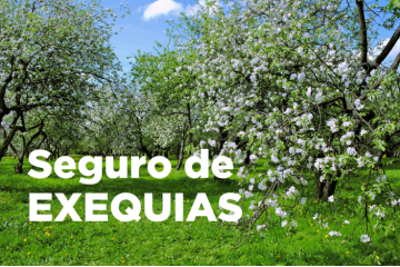 Más Allá del Último Adiós: Qué es un Seguro de Exequias y Por Qué Es una Inversión en Tranquilidad