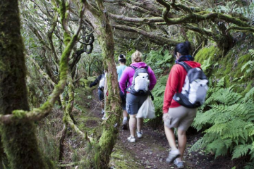 José Antonio Murga Baptista: [Tenerife Extrema] Deporte, Tecnología y Naturaleza.