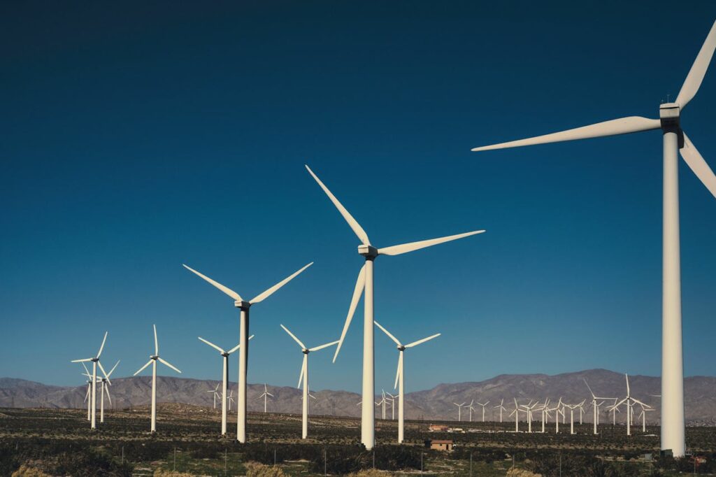 apostar por las energías renovables