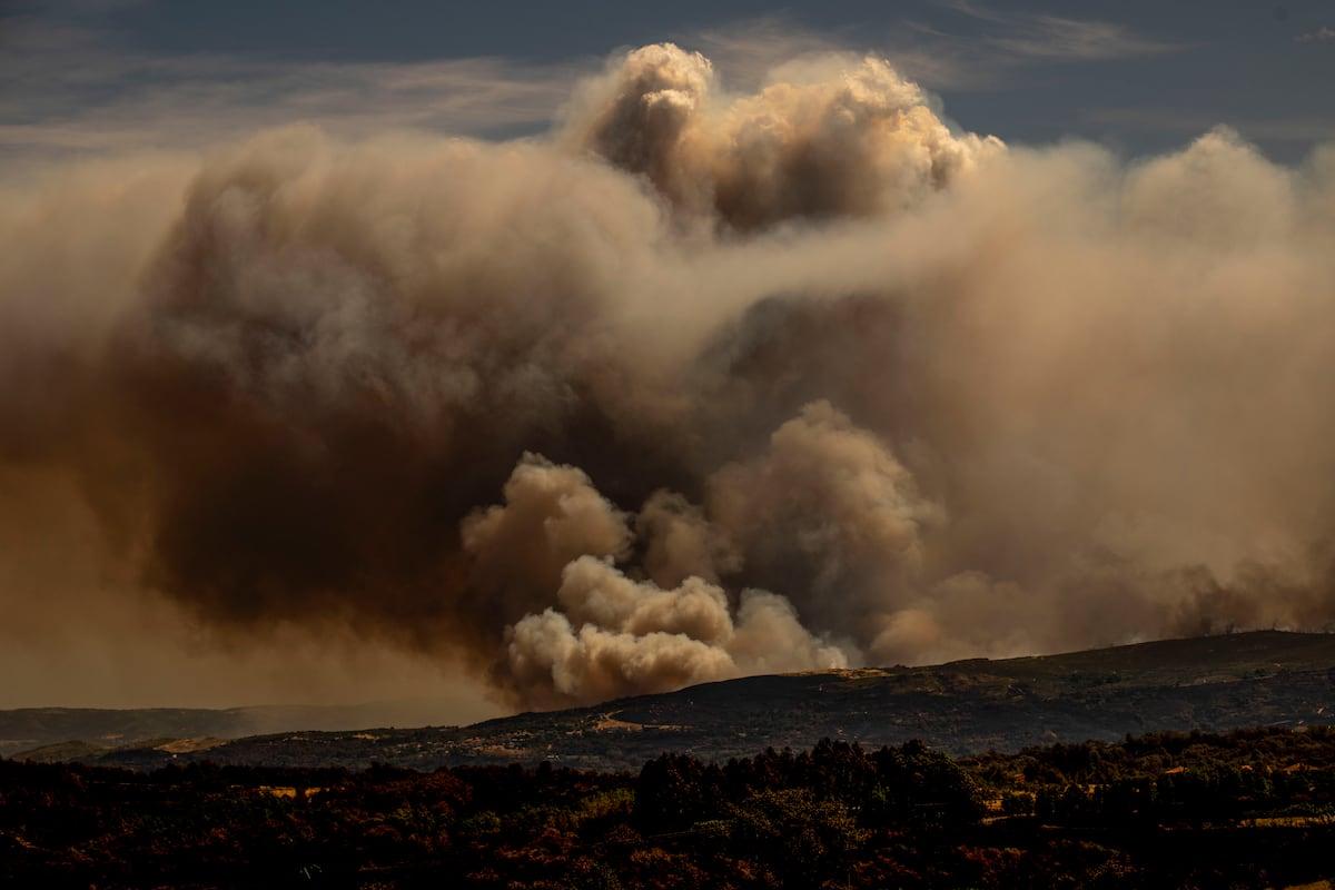 Impacto de los incendios en España