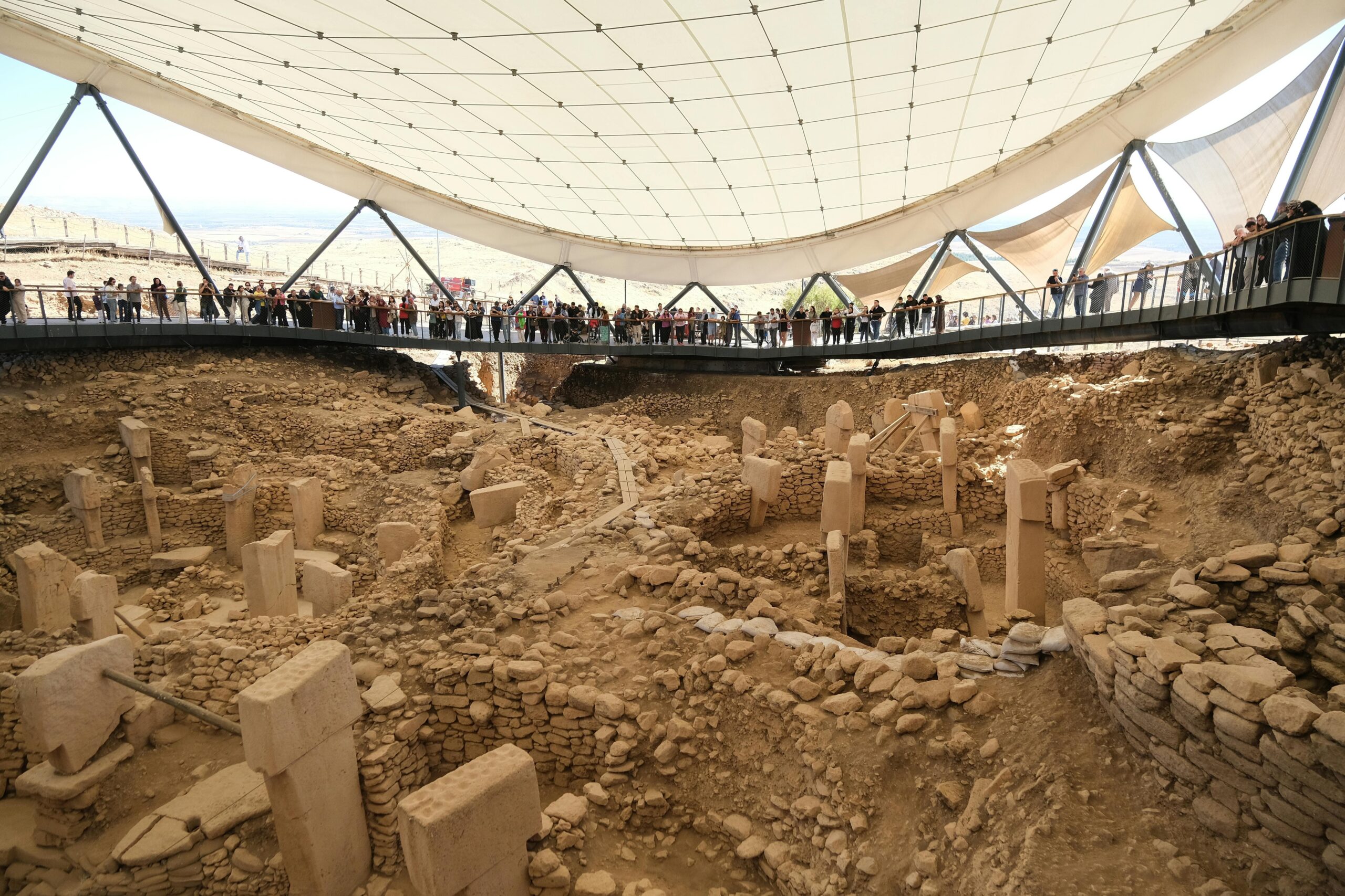 excavación con estudiantes