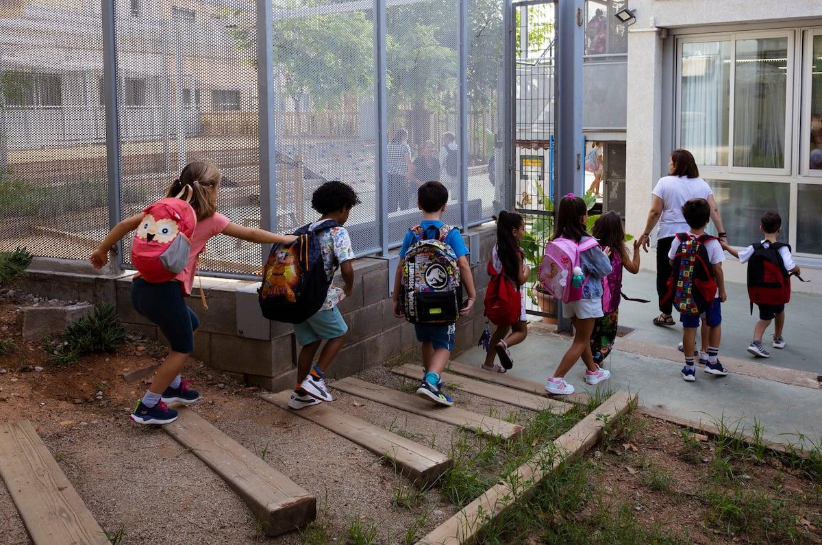 Organización del curso escolar