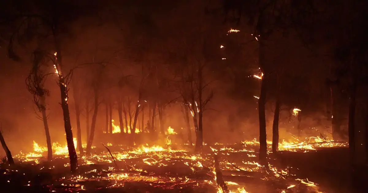 Zonas afectadas por incendios en España