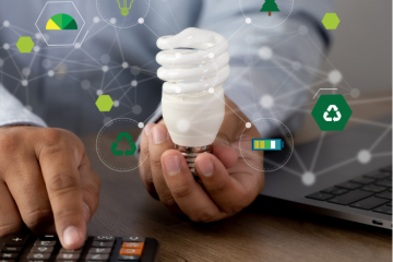 Más Allá del Algoritmo: Construyendo un Modelo de Negocio Sostenible como Creador de Contenido
