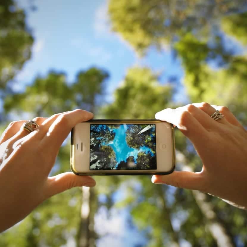 consejos para sacar buenas fotos