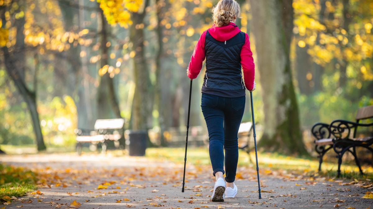 ideas para evitar el sedentarismo en otoño