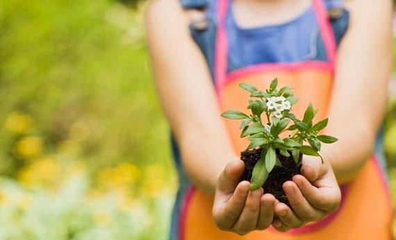Un estudio muestra que la jardinería potencia las capacidades cognitivas en los niños