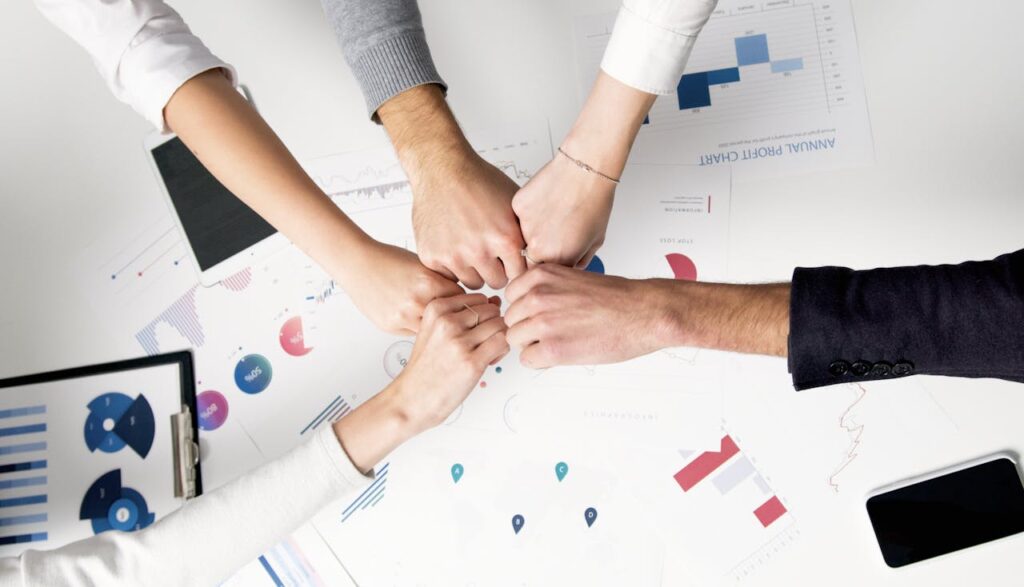 rol de los CEO activistas