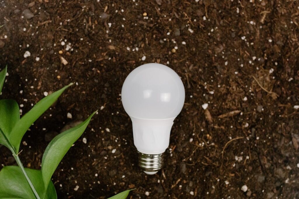 Entender la diferencia entre energía limpia y energía justa es el siguiente paso para lograr un mundo con justicia climática y social.