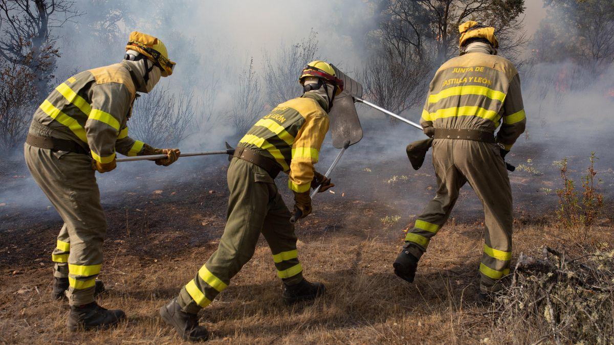 Figura del bombero forestal