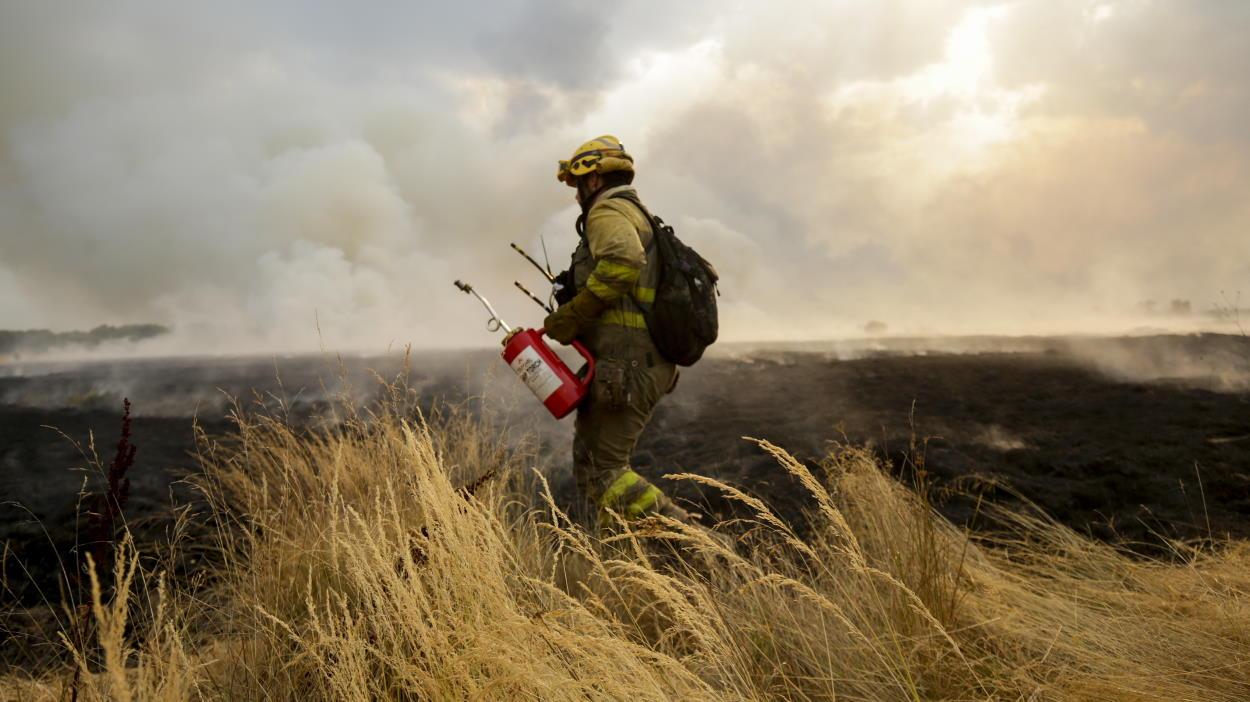 Figura del bombero forestal