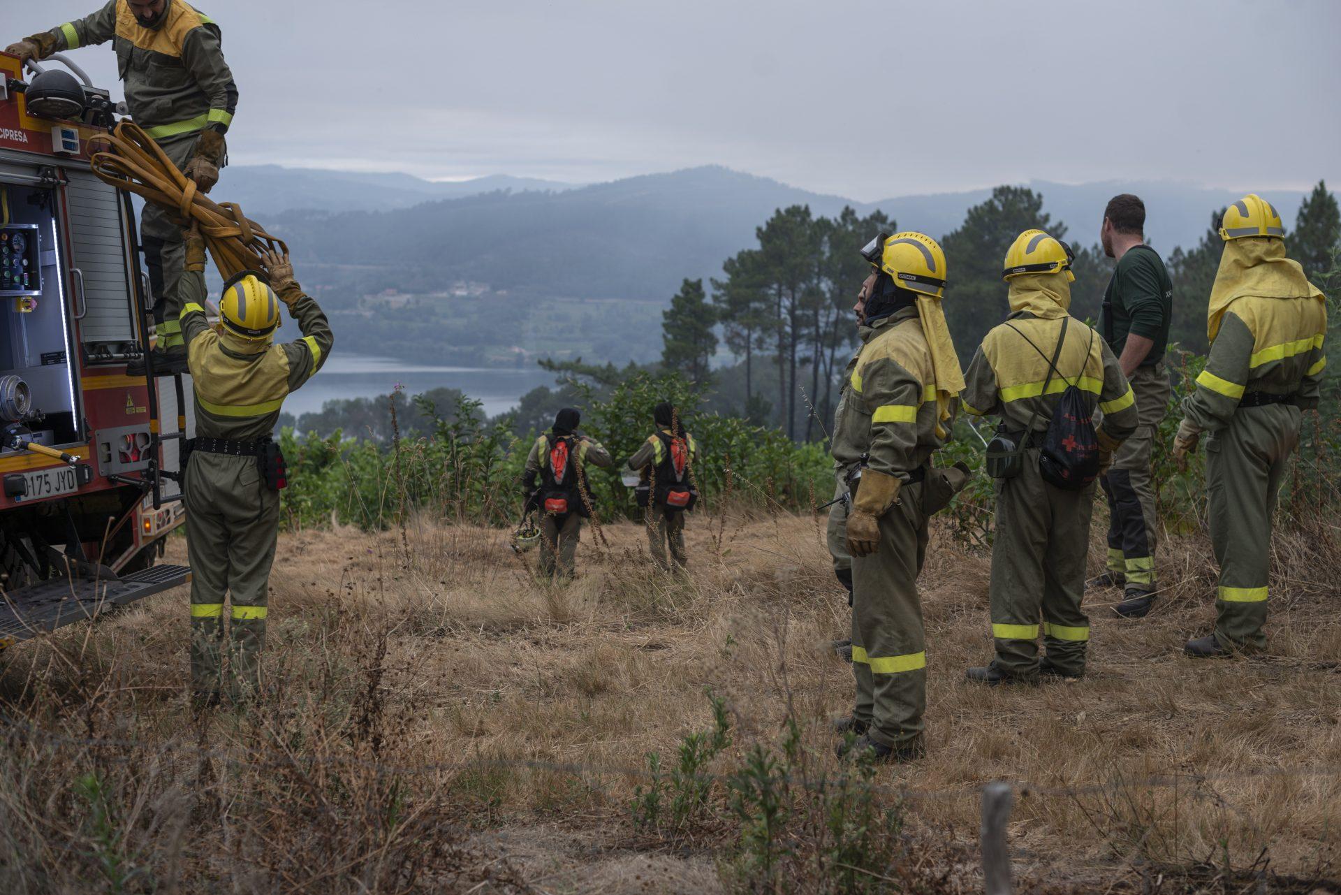 Figura del bombero forestal