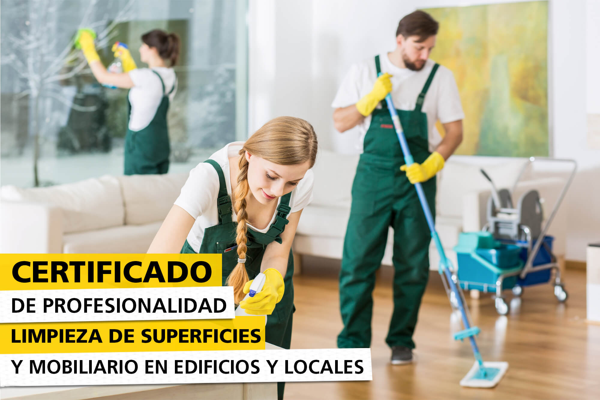 asesoramiento y evaluación de competencias