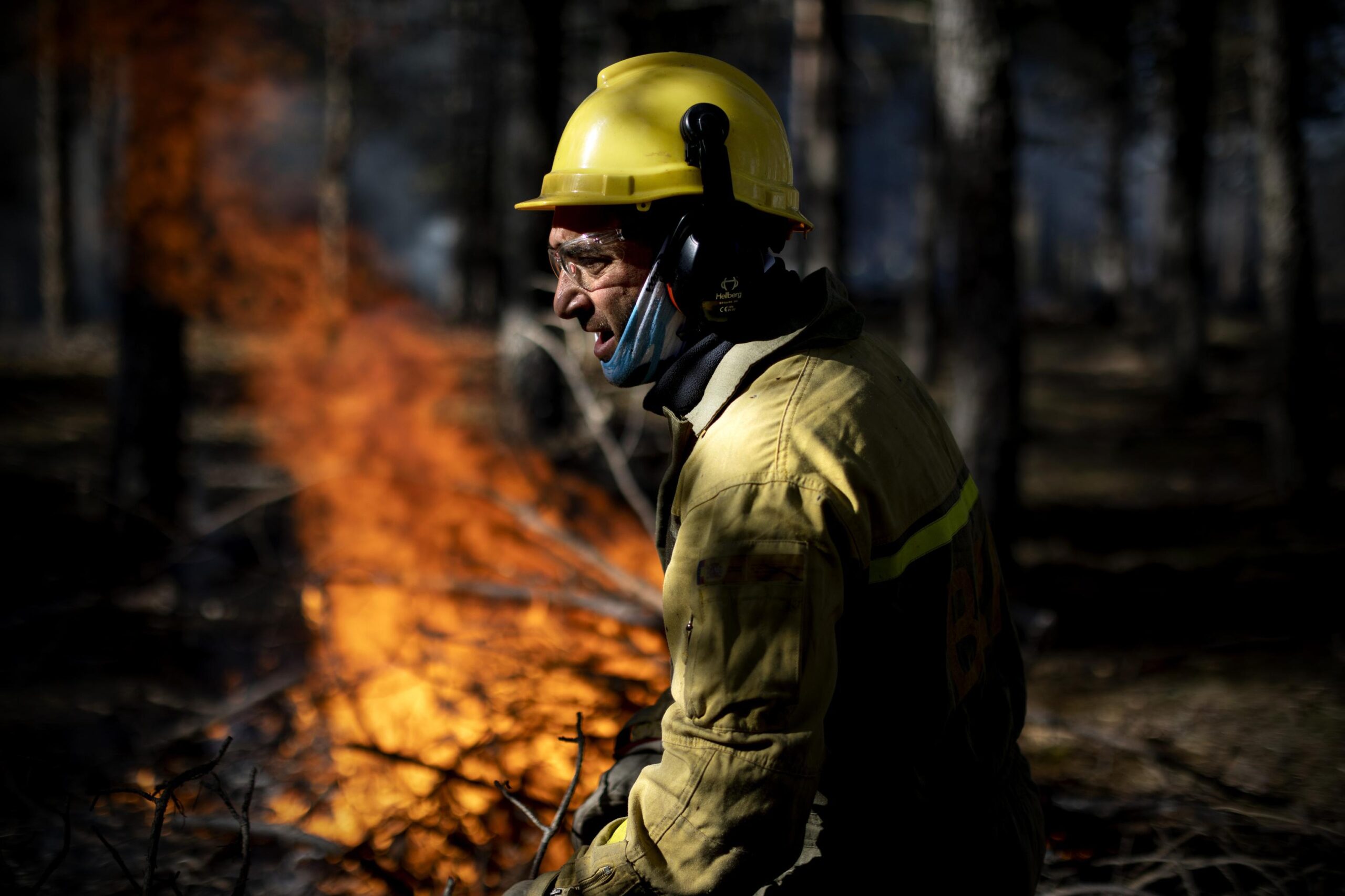 Figura del bombero forestal