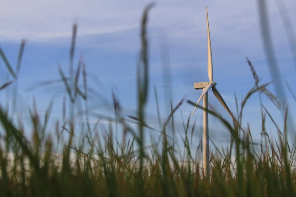 energía limpia 