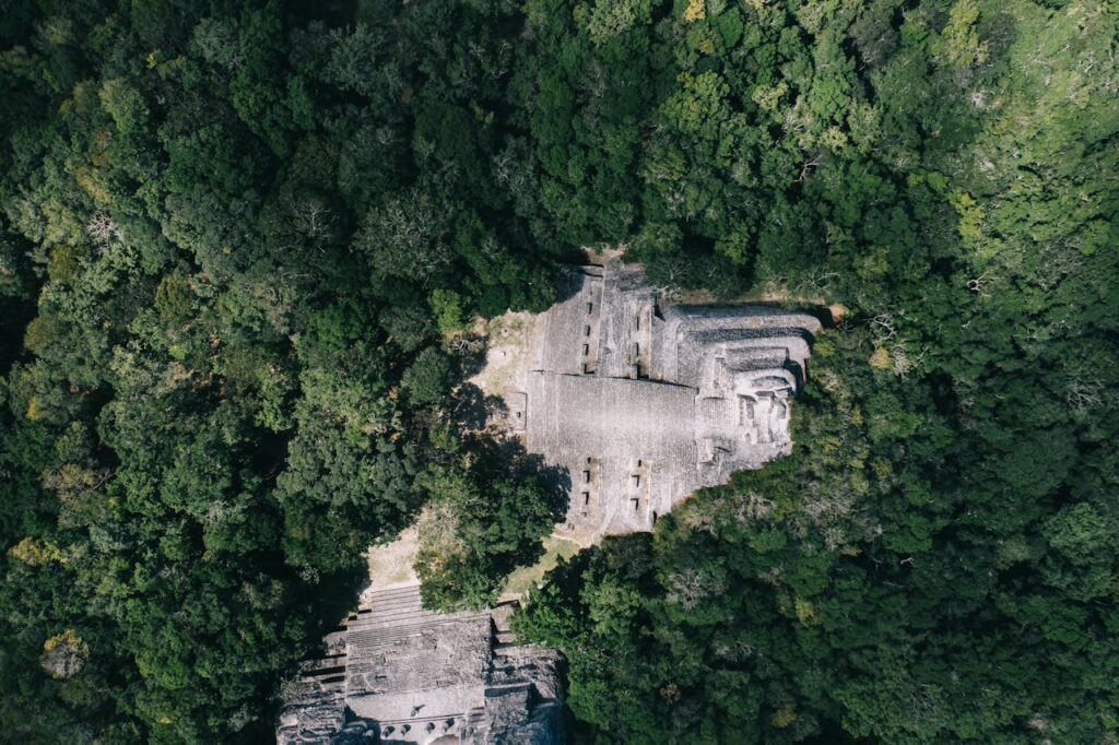 Tren Maya ante el Tribunal