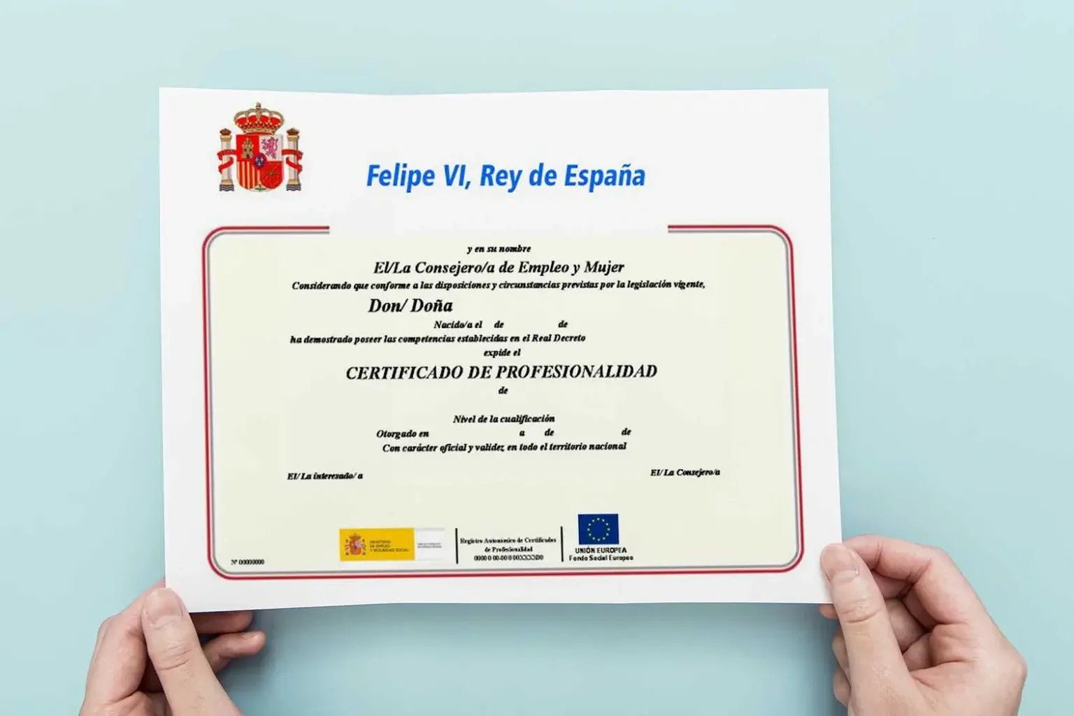 acreditación de competencias profesionales