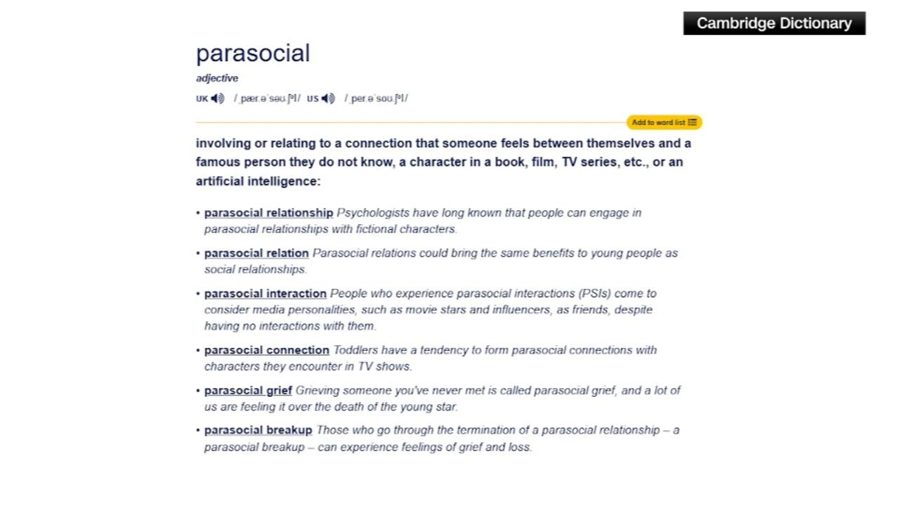 Relaciones parasociales y su definición