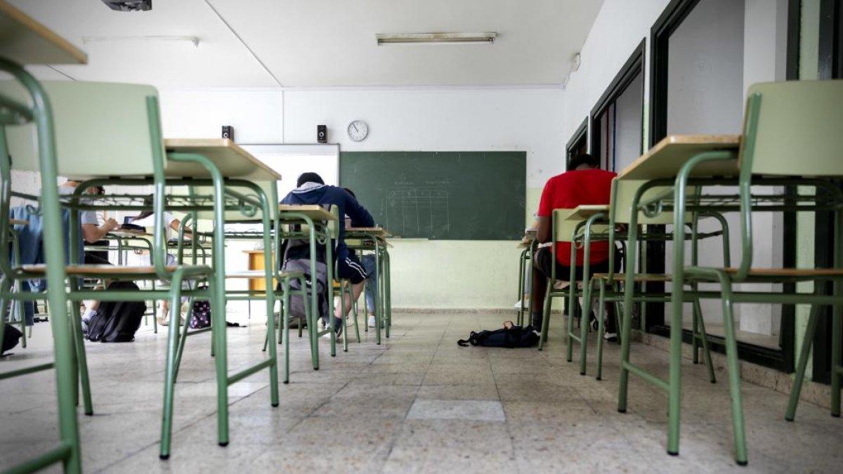 Distribución de plazas por cuerpos docentes