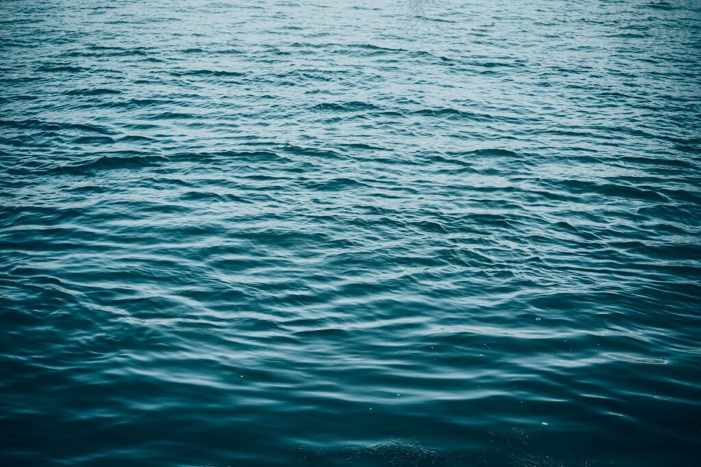 Amazon busca reponer agua