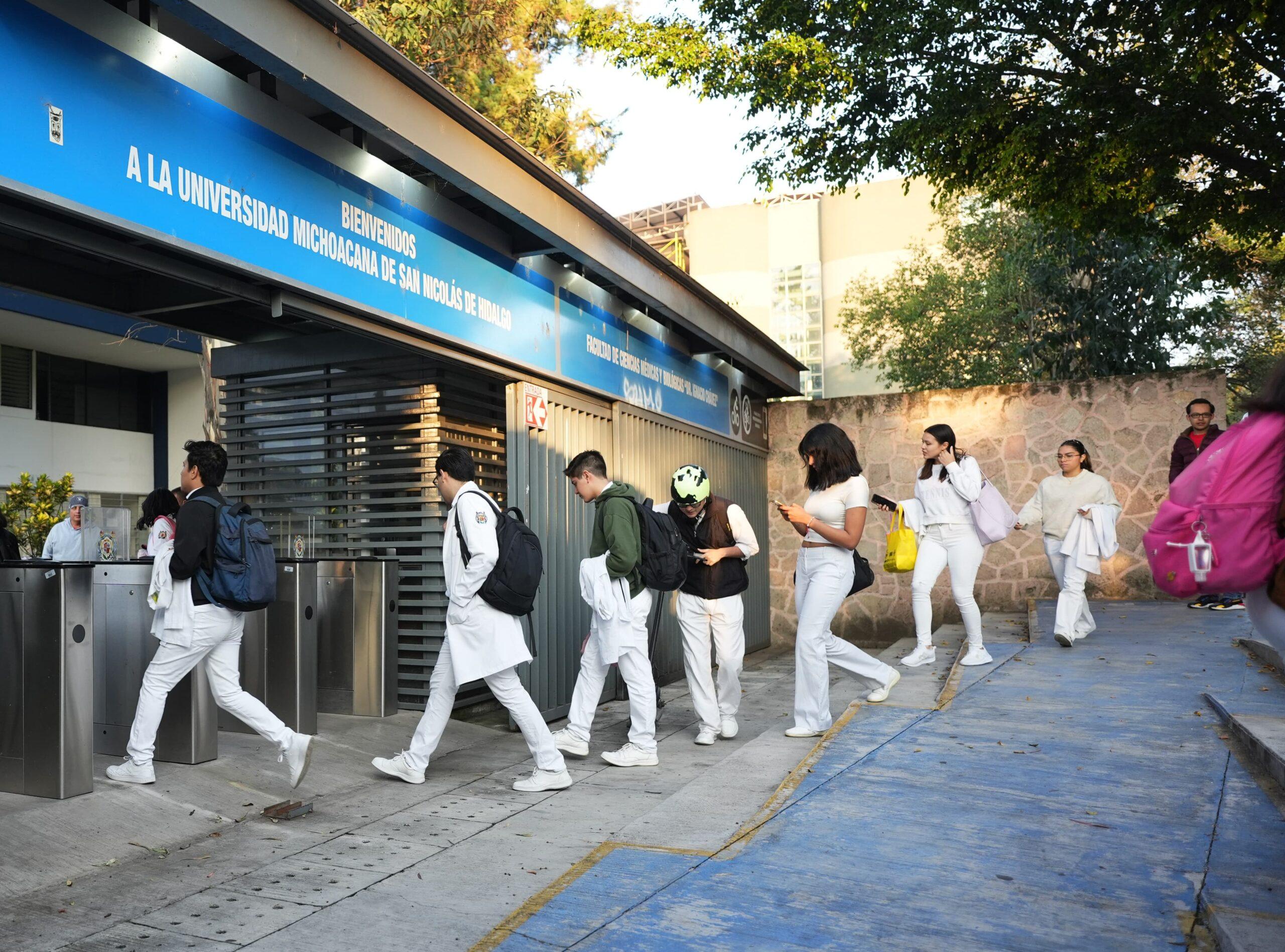 Areas de investigacion UMSNH