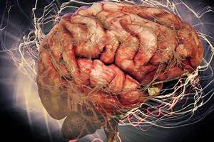 Oswaldo Karam | Por qué tus neuronas necesitan que te muevas