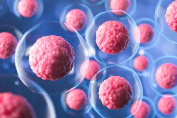 Froilán Heriberto Páez | Células Madre